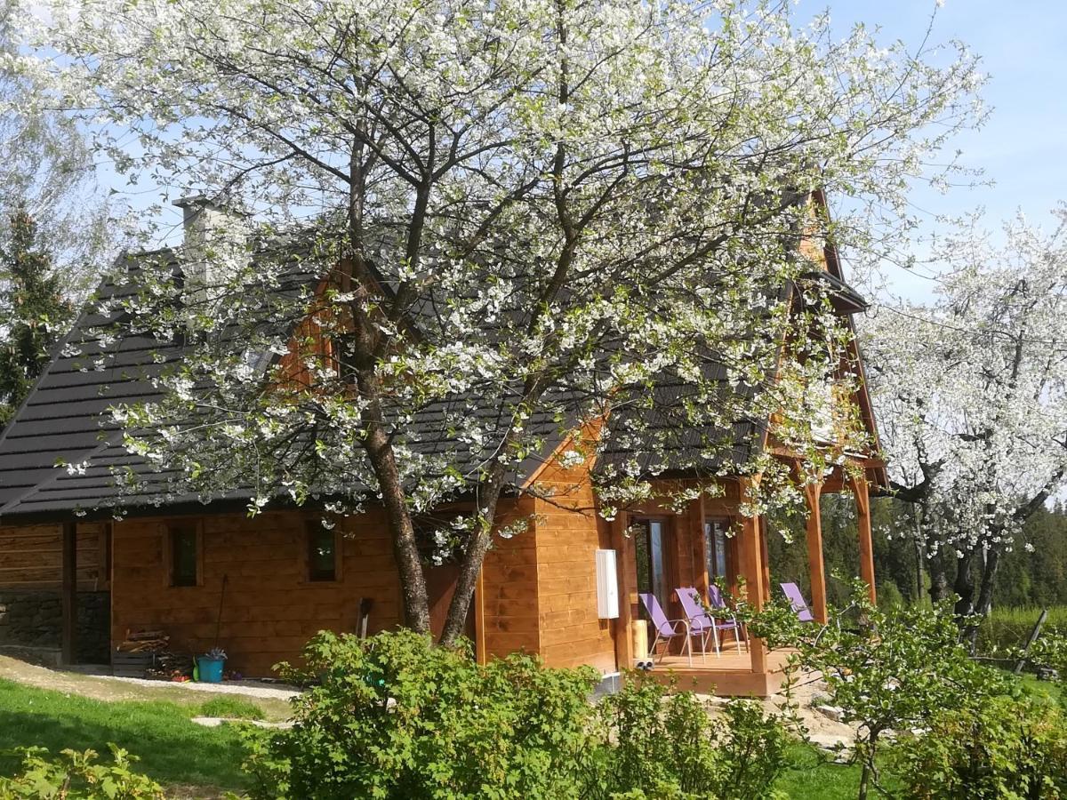 Buflaczanka Nowy Targ Exterior foto
